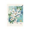 Přání Bug Art A6, květiny - Jabloň