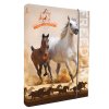Box na sešity A4 Horses Freedom