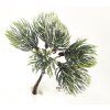 Dekorace větvička smrková, 12 cm
