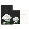 Kondolence - Bílá květina