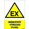 nebezpeci vybuchu plynu