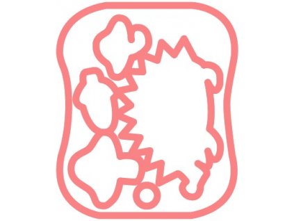 Šablona pro plstění Clover 8928