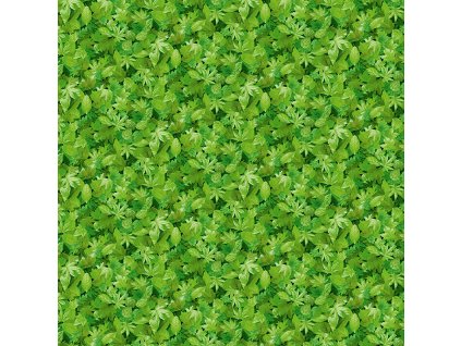 Látka bavlna v metráži 1354G3 s přírodním motivem vzor zelené listy