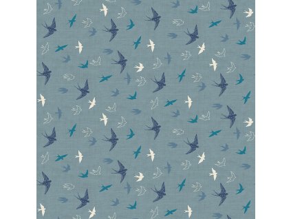 2421 B swallows