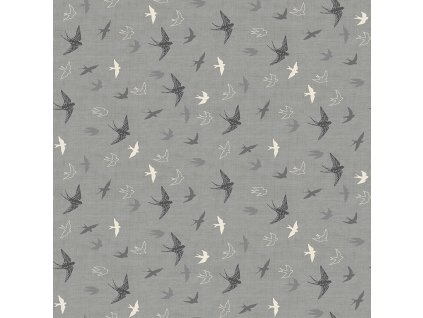 2421 S swallows