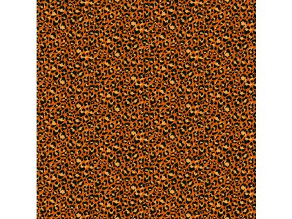 2403 N leopard
