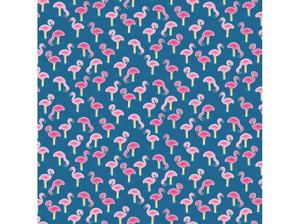 2440 B flamingos