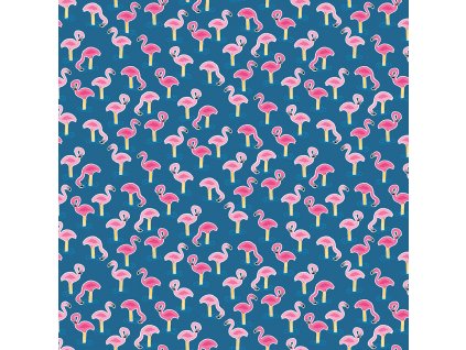 2440 B flamingos
