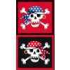 2436 1 Skull and Crossbones Panel