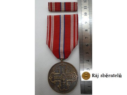 MEDAILE PRO ČSR DOBROVOLNÍKY 1918-1919