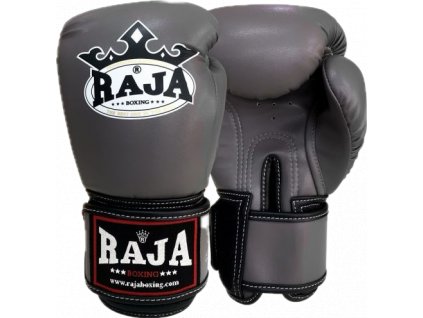 Boxing gloves Standard Gray