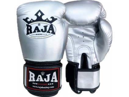 Boxing gloves Standard Silver