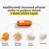 capsule ingredients