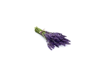 1541 21 saunova esencia levandula 100 ml