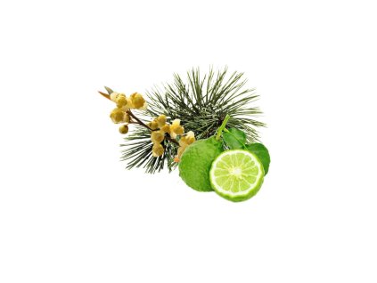 413 21 saunova esencia arola pine bergamot litsea 100 ml