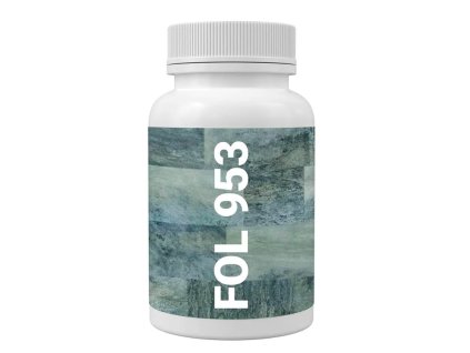 FOL953