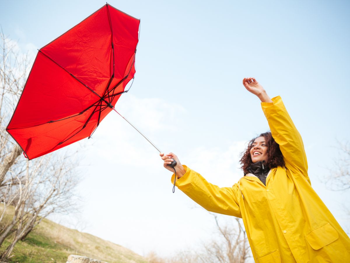 Větruodolný deštník