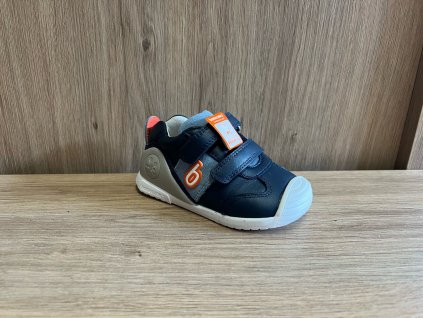 image4 (6)