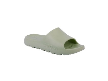 pi476 972775 2 xlarge clean 650 856 42307