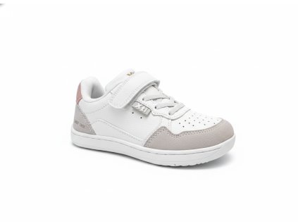 downloaded file (27)