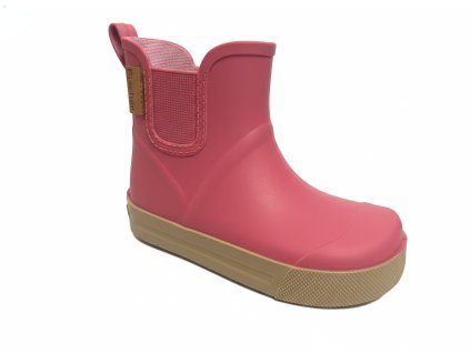 downloaded file (38)