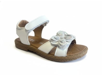 downloaded file (73)