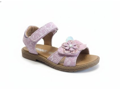 downloaded file (75)