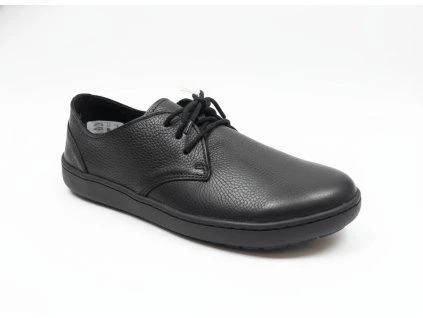 downloaded file 2026 03 24T145321.683