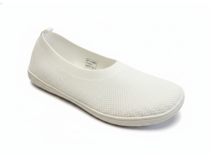 downloaded file 2026 04 16T100204.932