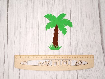 Palma - sadzonki