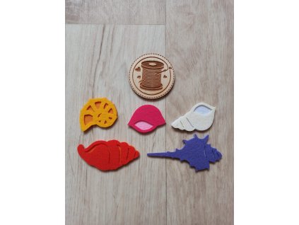 Muscheln, Muscheln (Set) - Scheiben