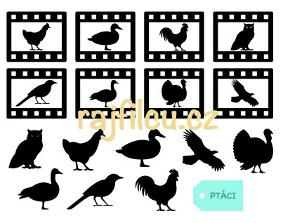 Film ptáci.1