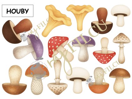 Houby potiskfilcu rajfilcu.cz