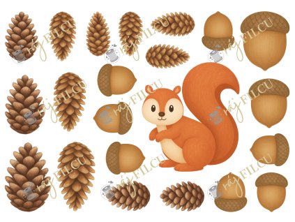 Šišky, žaludy, veverka tisk na filc rajfilcu.cz.1