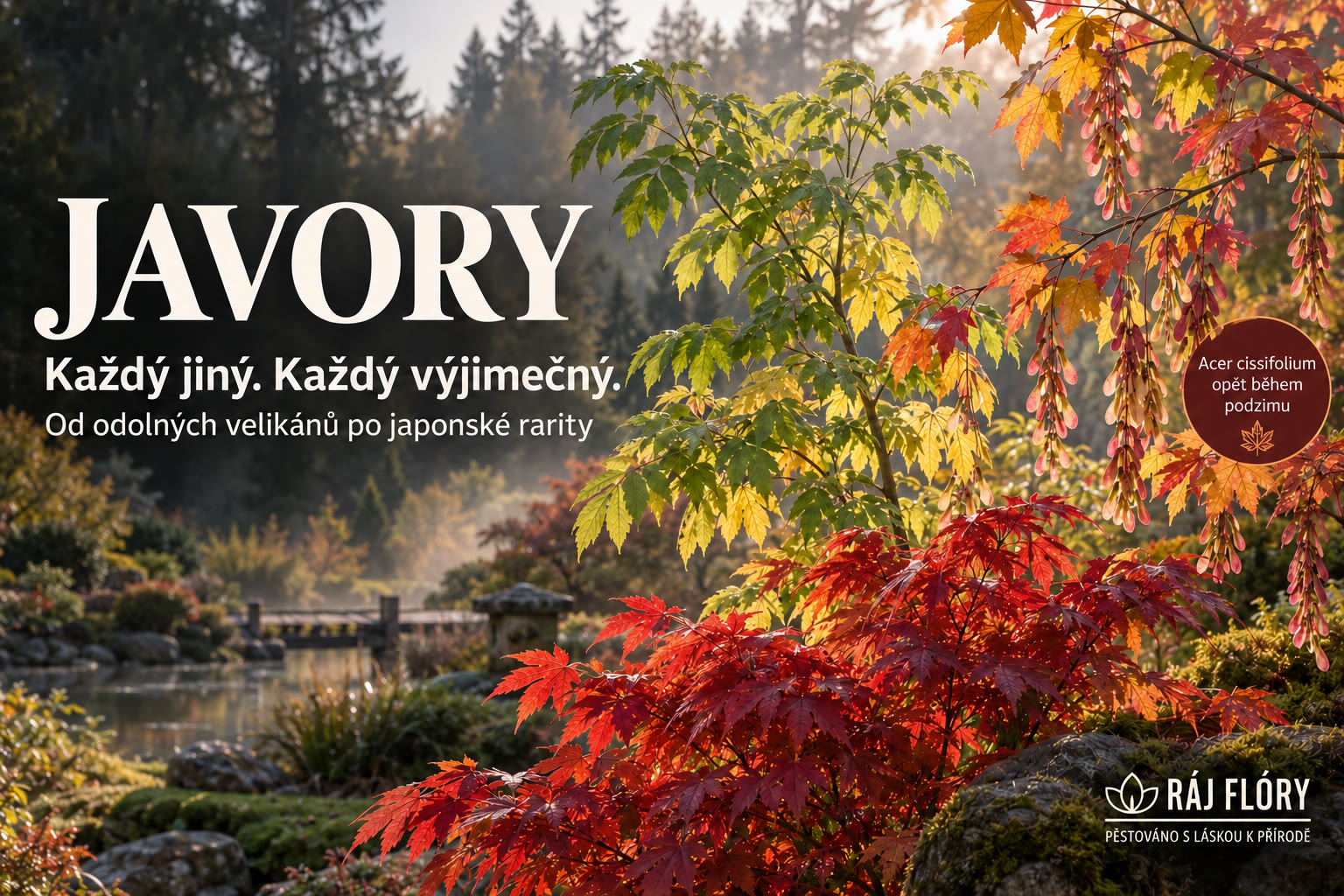 Javory