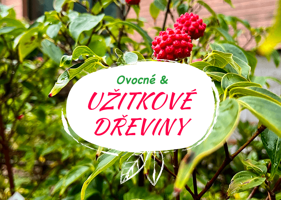 užitkové dřeviny