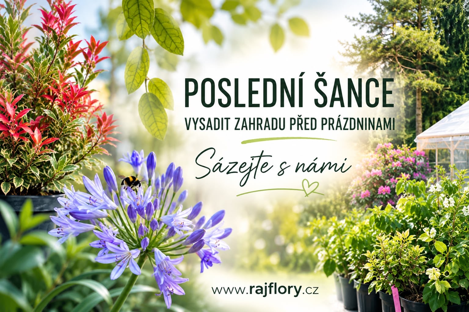 Poslední šance na výsadbu