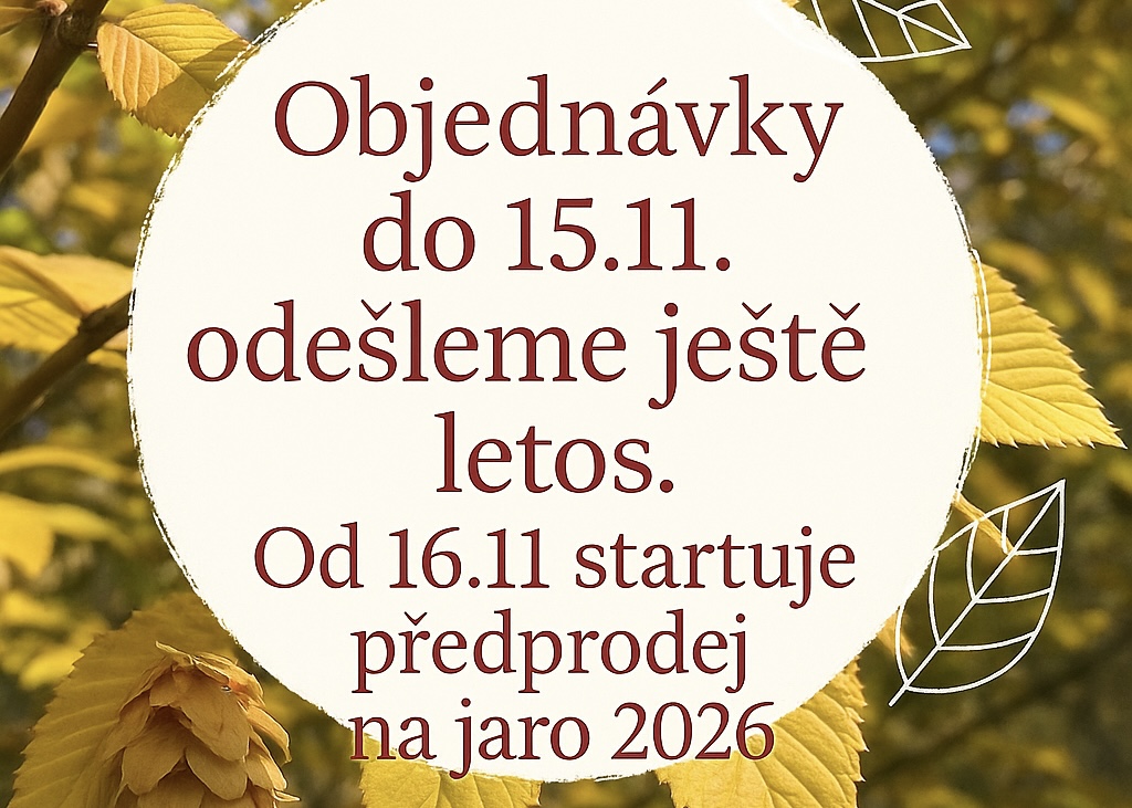 Předprodej od 16.11