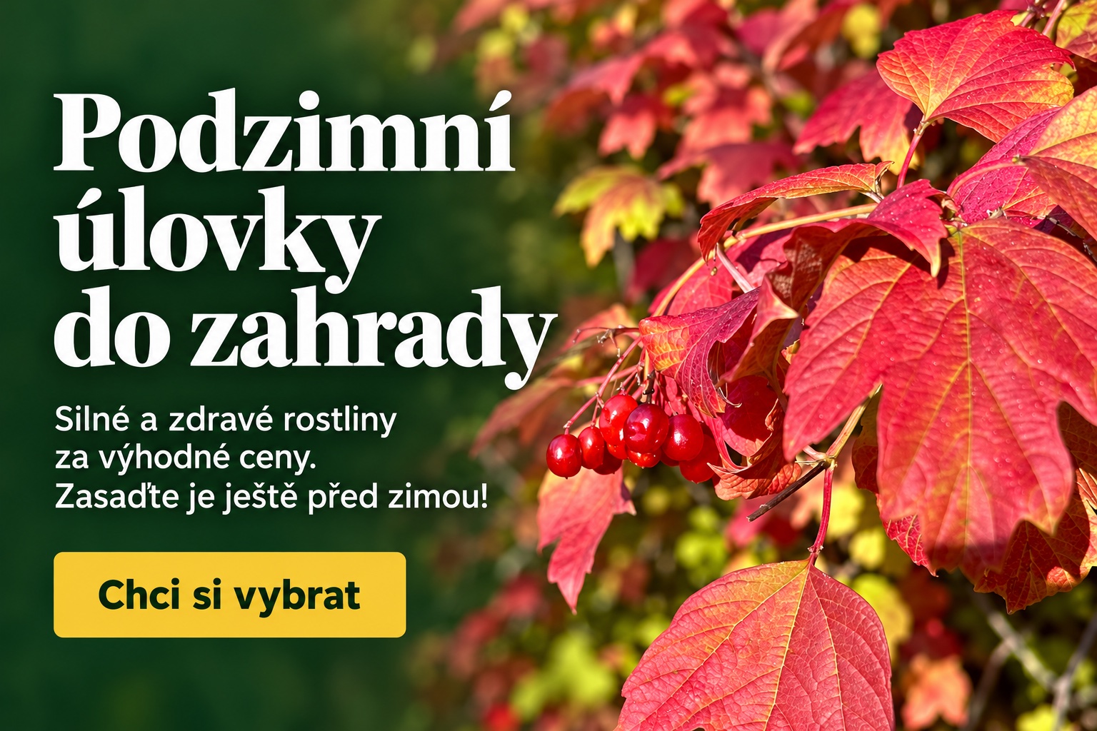 Podzimní úlovky za zvýhodněné ceny