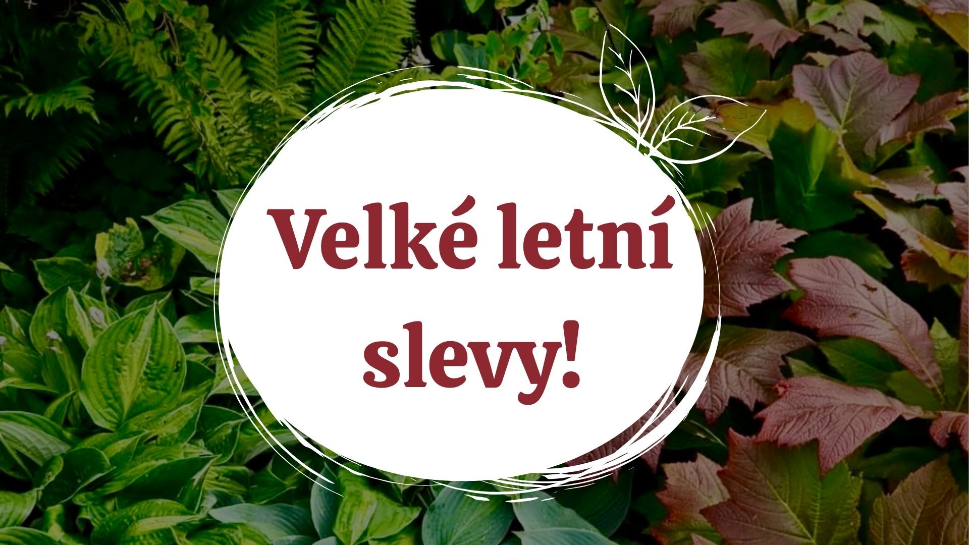 Slevy až 30%