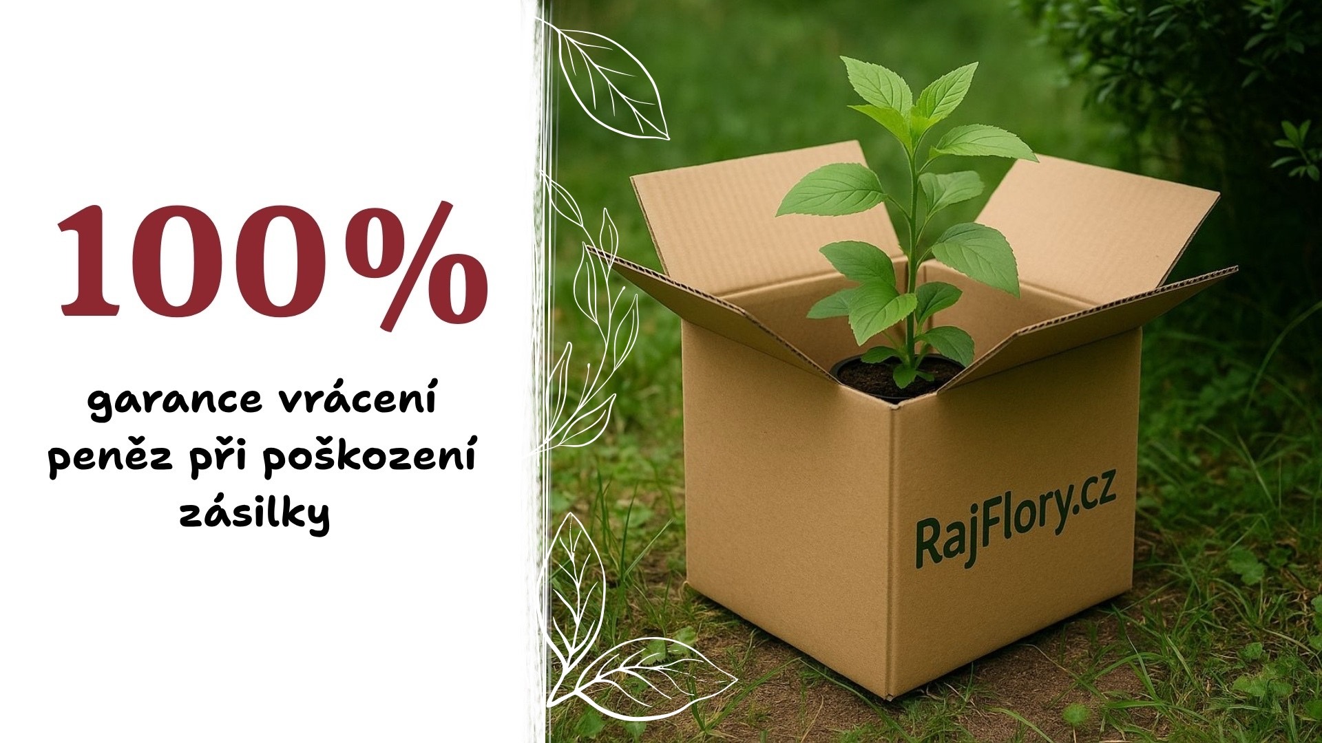 100% garance vracení peněz