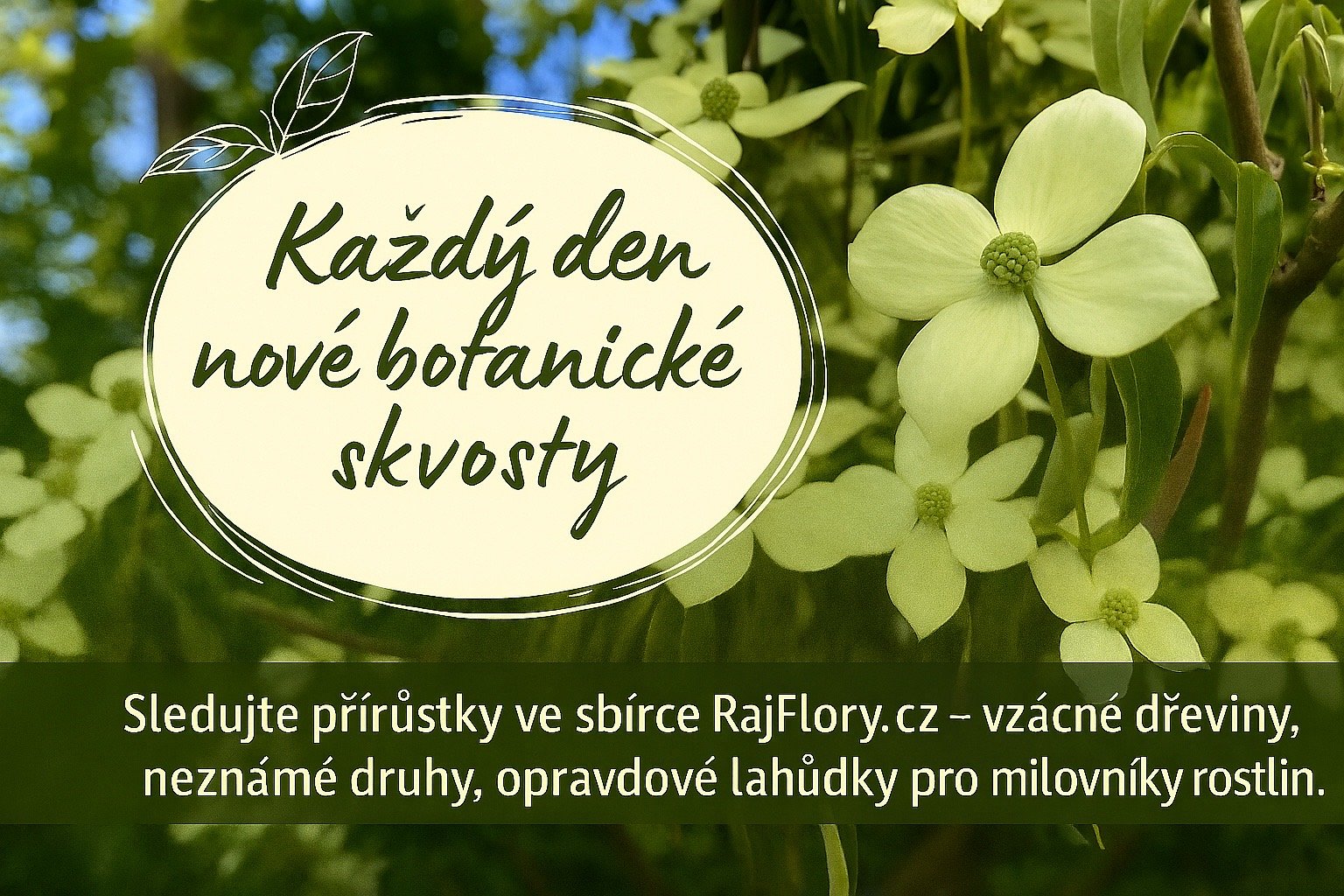 Každý den přidáváme nové druhy