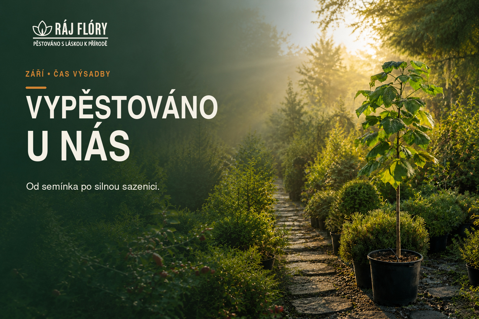 Vypěstováno u nás