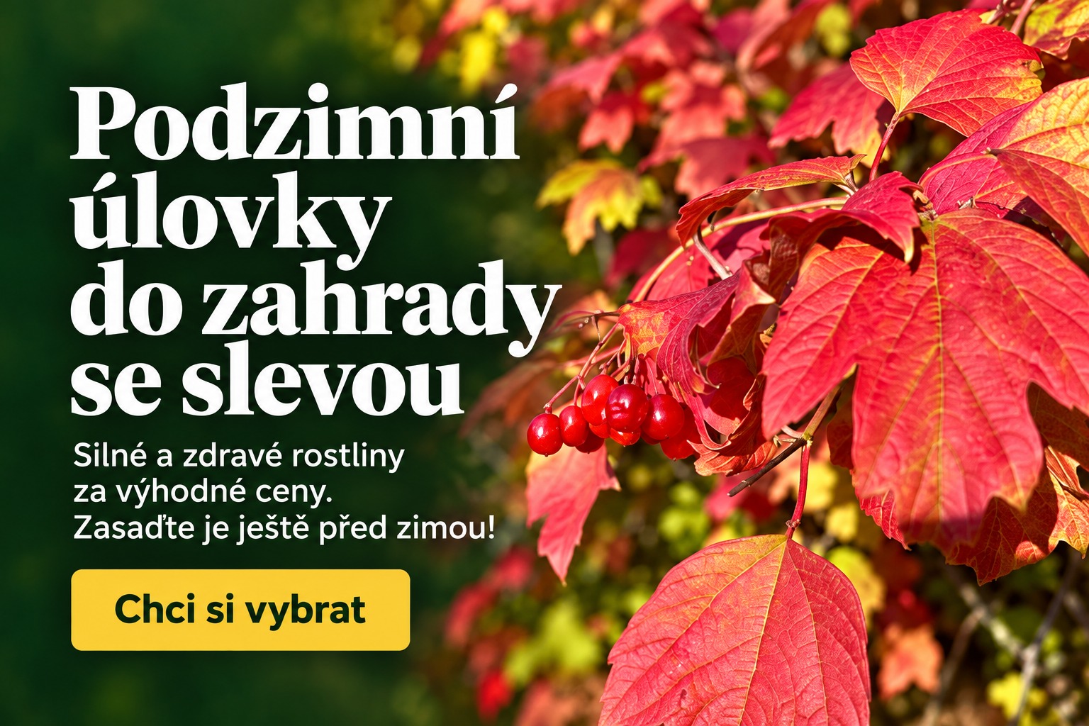 Podzimní úlovky za zvýhodněné ceny