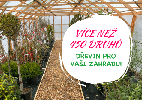 Více jak 450 druhů