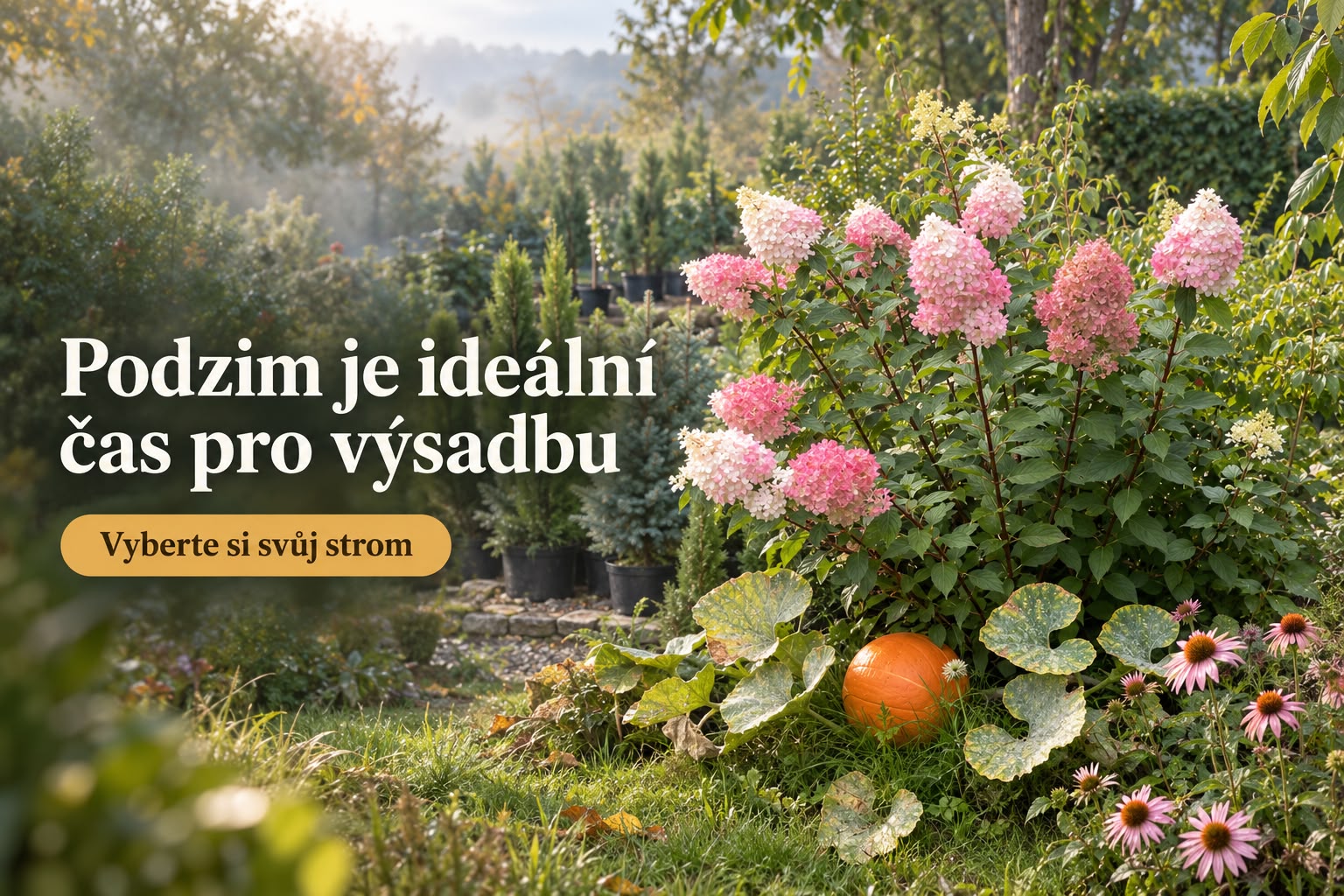 Podzim je ideální čas pro výsadbu