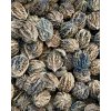 ořešák popelavý lat. Juglans cinerea 20-40 Cm