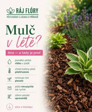 Mulč v létě? Rozhodně ano 🌿 Možná působí jen jako hezká tečka záhonu, ale ve skutečnosti umí mulč rostlinám v horkých...