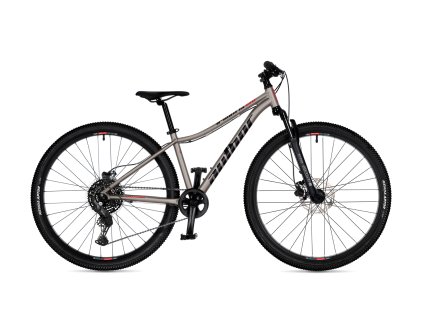 42964010 a matrix 29d