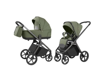 1C Carrello Vector Field Green